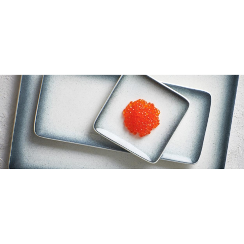 Тарілка"DUSK SPECKLED" 26см 26см"F2D" Тарілка"DUSK SPECKLED" 26см 26см"F2D"